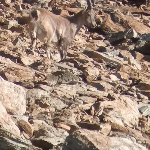 Hüttenwanderung 2s 19/20