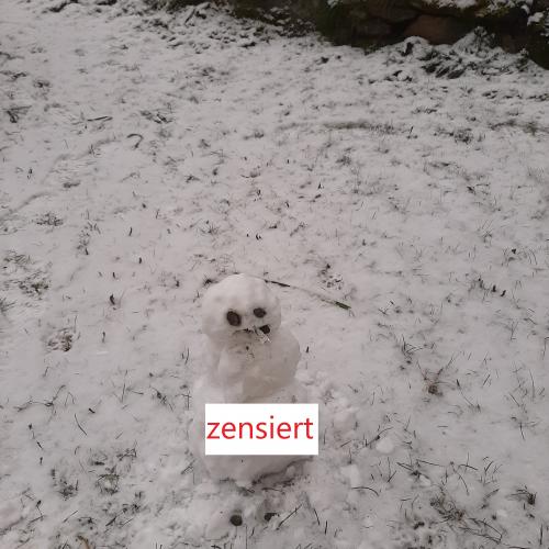 Schneemann04
