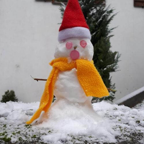 Schneemann08