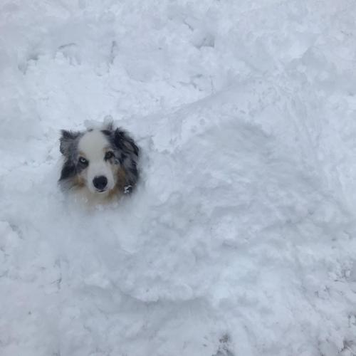 Schneemann13