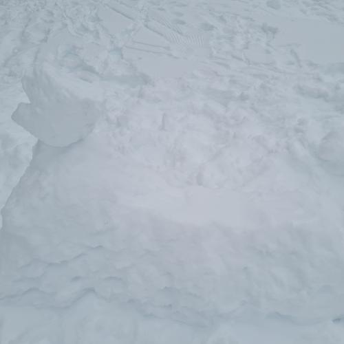 Skulpturen im Schnee 1s