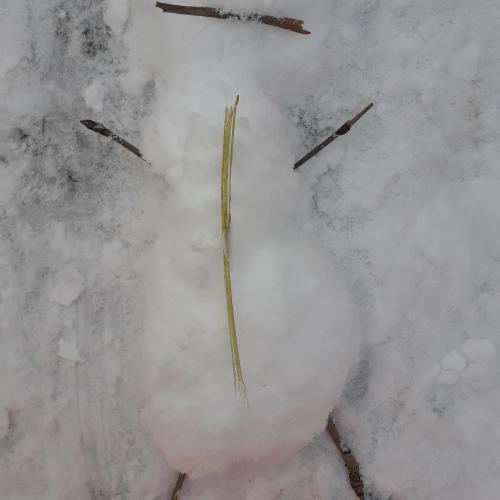 Skulpturen im Schnee 1s