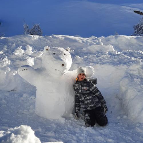 Skulpturen im Schnee 1s