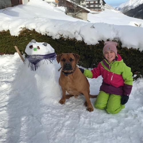 Skulpturen im Schnee 1s