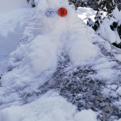 Skulpturen im Schnee 1s