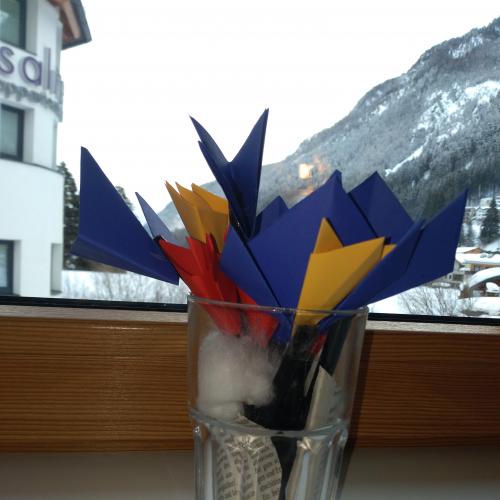 1m Tulpen