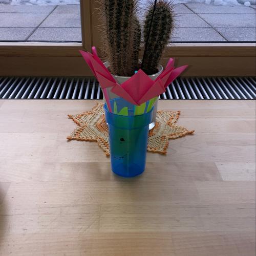 1m Tulpen