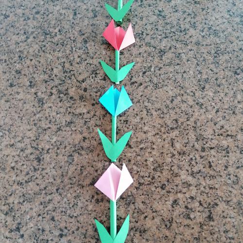 1m Tulpen