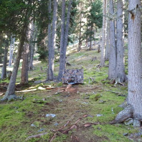 Bogenparcours