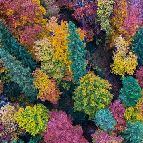 Tagesausflug der 3a zum Schloss Neuschwanstein