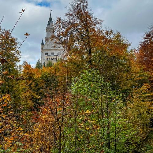 Tagesausflug der 3a zum Schloss Neuschwanstein