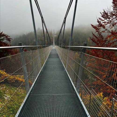 Tagesausflug der 3a zum Schloss Neuschwanstein