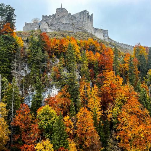Tagesausflug der 3a zum Schloss Neuschwanstein