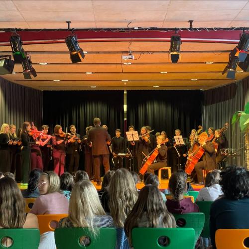 Das Musikgymnasium Innsbruck stellt sich vor