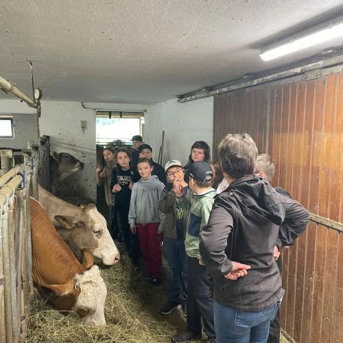 Zu Besuch am Bauernhof