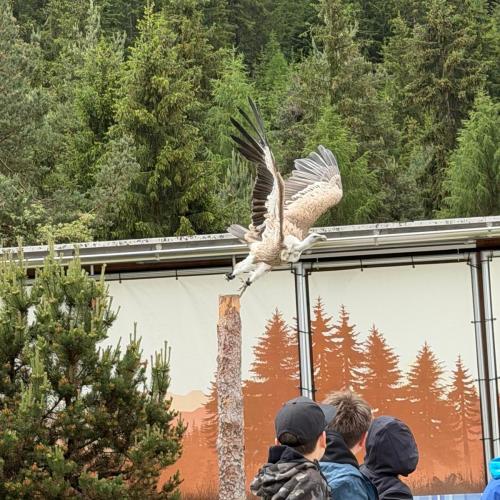 Eine Reise in vergangene Zeiten – Die 2a und 2m zu Besuch im Ötzi-Dorf