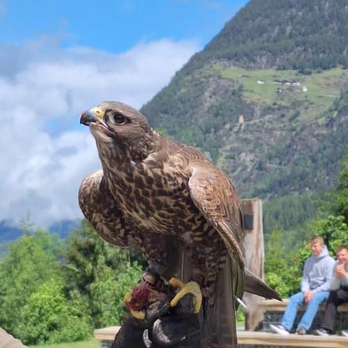 Eine Reise in vergangene Zeiten – Die 2a und 2m zu Besuch im Ötzi-Dorf