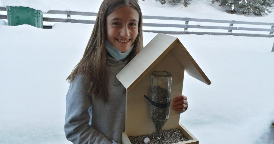 3abs Vogelhaus